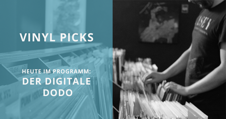 Drei Vinyl Picks vom digitalen Dodo